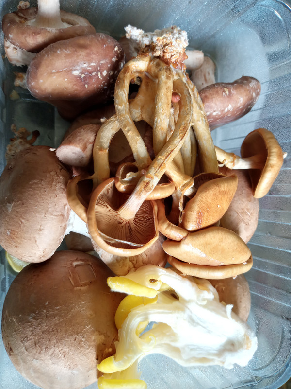 [Image: 20201023_113215.jpg]