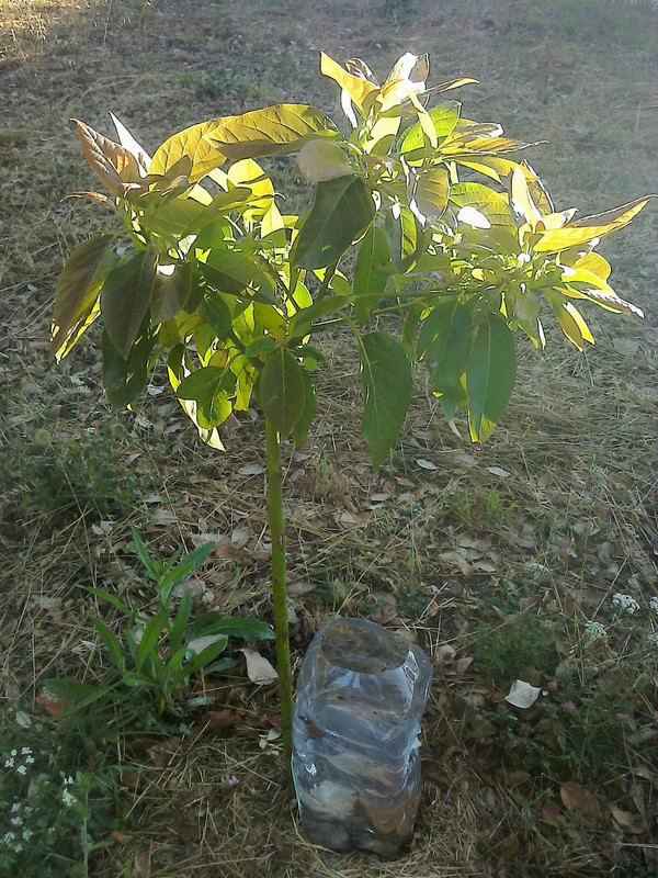 foto0120