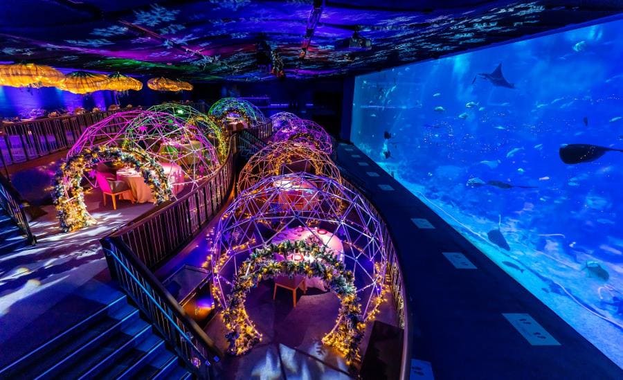 Самый большой аквариум - S.E.A. Aquarium Самый большой аквариум - S.E.A. Aquarium