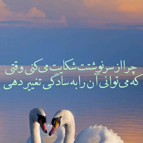 جملات ناب فلسفی