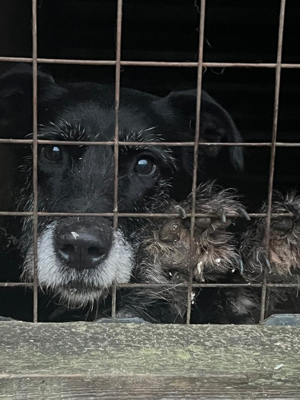 p DIqse Hnso WNj1QAba Rgo34Yei9q EG rxjo8gqi Rh7JSNk A ak JAZ03W2Bzry5nw7i b QWuw I 1Mot Vrynu Aixea