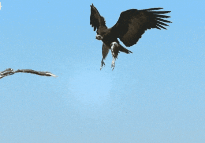 GIF-20250829-075742-034.gif