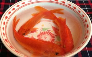 [Image: ngay-le-ong-cong-ong-tao-nen-chon-3-con-ca-chep.jpg]