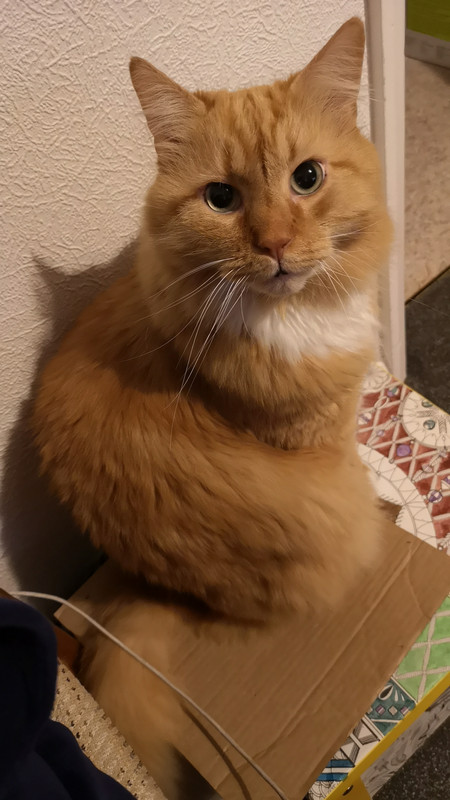 IMG-e95835bf9563f6f4c8005a7e0d5a8441-V.j