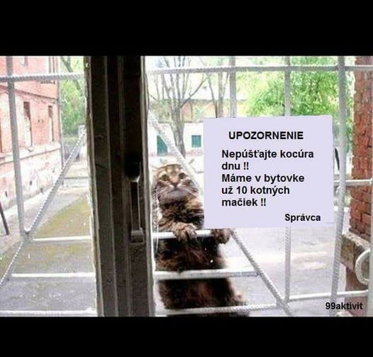 498187934 2767908383597542 165823495863463455 n