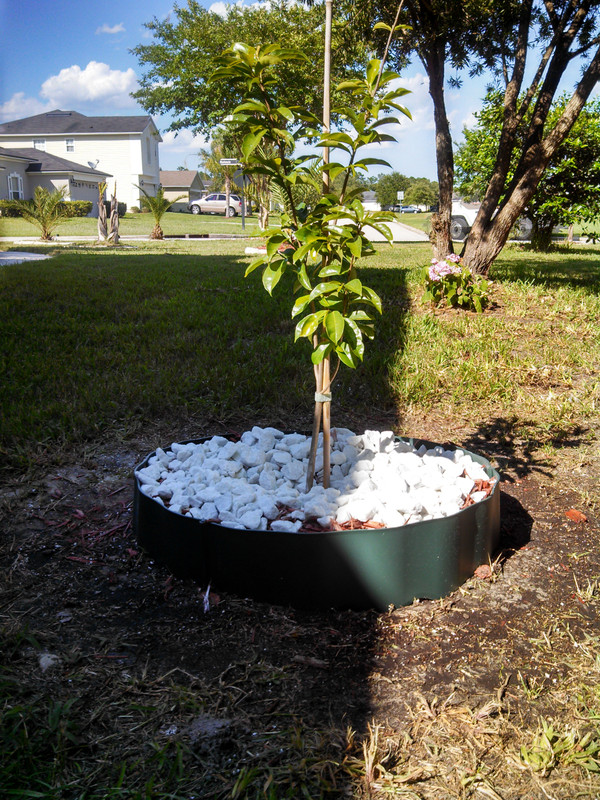 IMG_20130524_170016_735