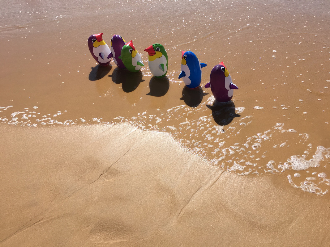 690F4B30-6173-44BB-B1DC-7D955C592D5C