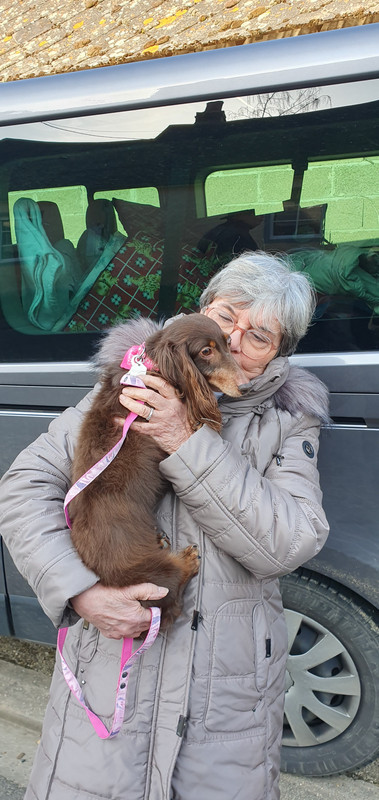 [Image: 20230302-162950.jpg]