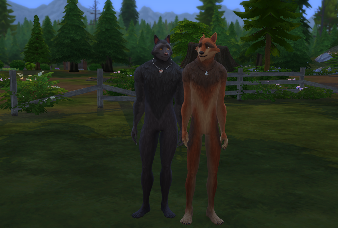 dyl-an-and-morgan-wolf-form.png