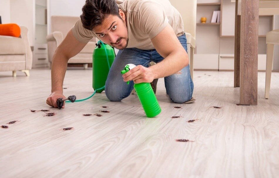 Do It Yourself Pest Control