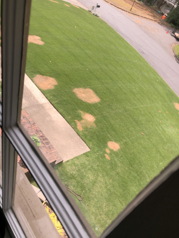 58C91F17-7457-493C-967E-7A1C3A54F87E