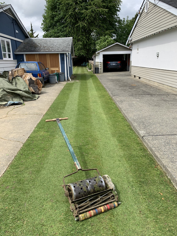 Manual Greens Mower?