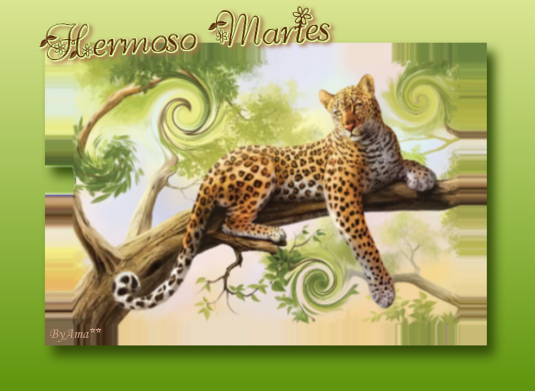 Leopardo Martes