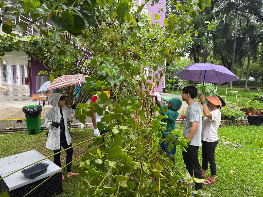 Goodman Community Farm by Cultivate Central - Gallery Image 2