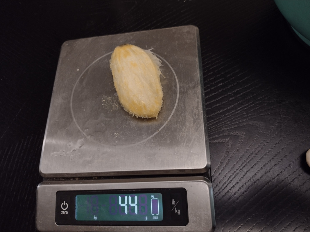 IMG_20210602_192907817_HDR