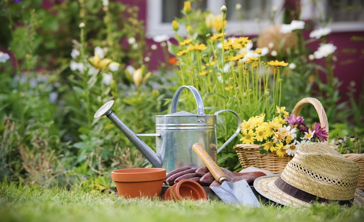 Giardinaggio: boom di vendite online per elettroseghe, motoseghe e potatori