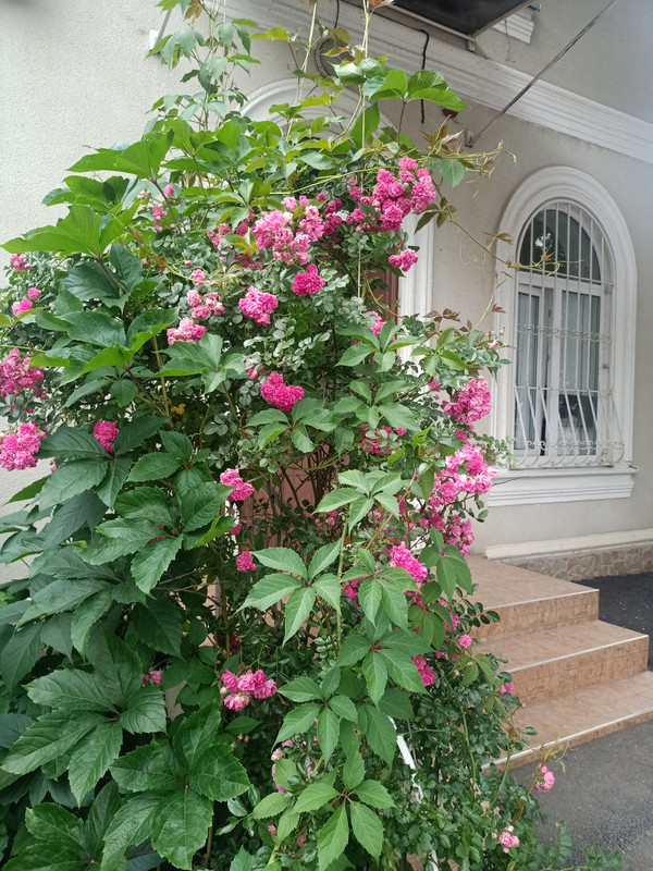 IMG20210707141344.jpg
