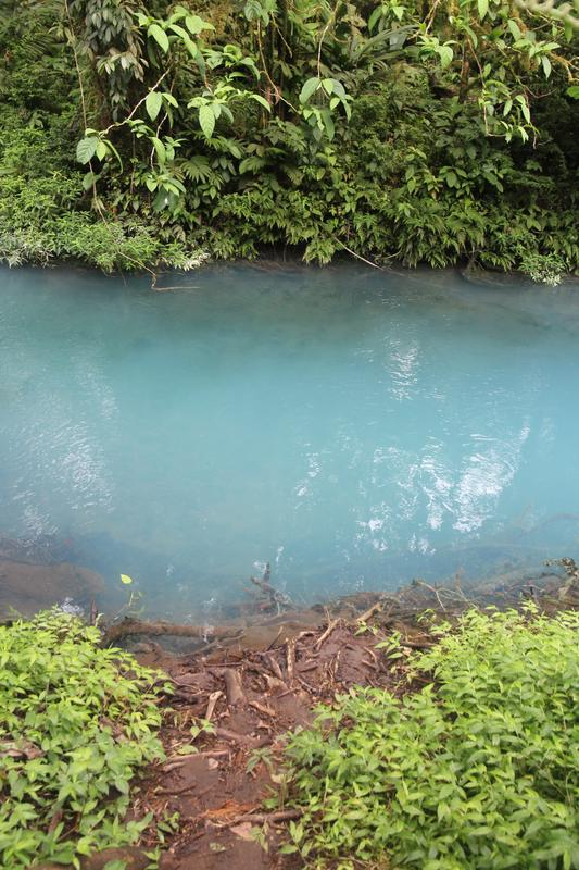 DIA 10: RIO CELESTE - DE TORTUGAS Y PEREZOSOS. COSTA RICA 2019 (35)