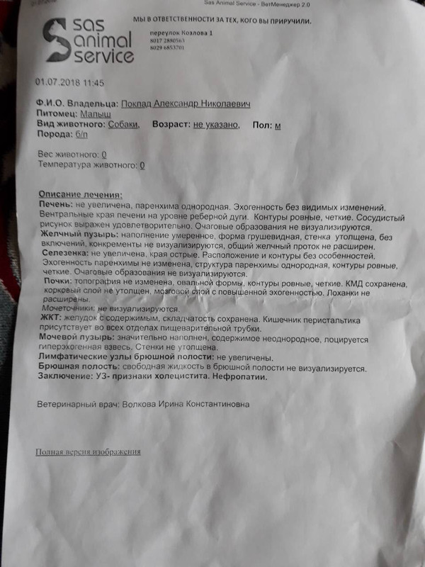 3EB44308-3785-471F-A514-25D28472F78C