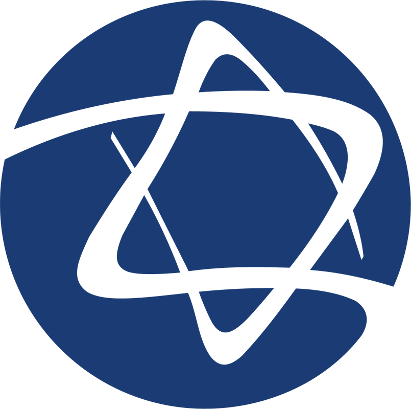 Albert Einstein Hospital Logo