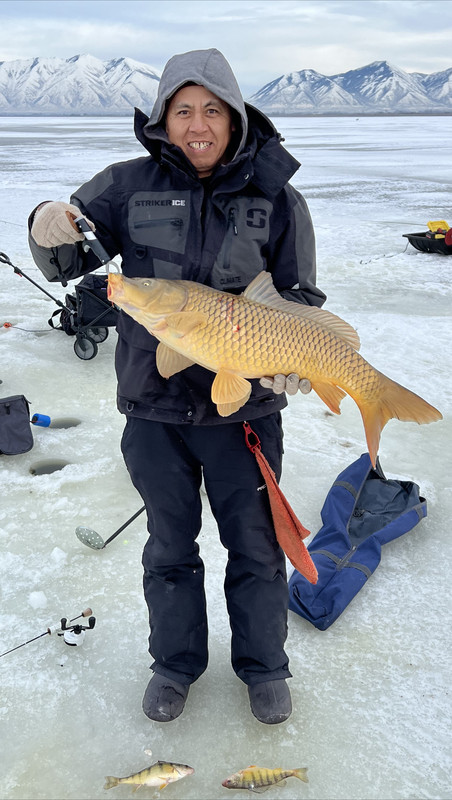 202A6594-CF36-4E0C-889B-BF064E472153