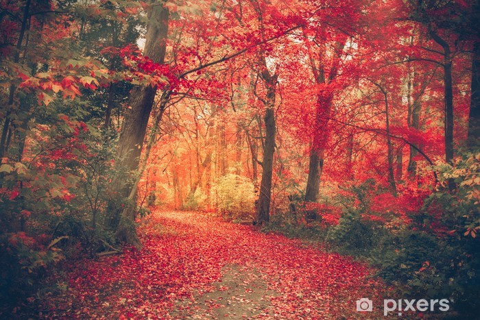 1A149A72-38F0-44B7-AB7C-073CD6D8B86F