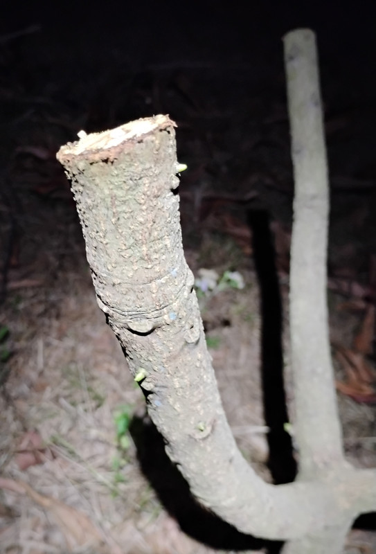 IMG 20260304 191625773 2