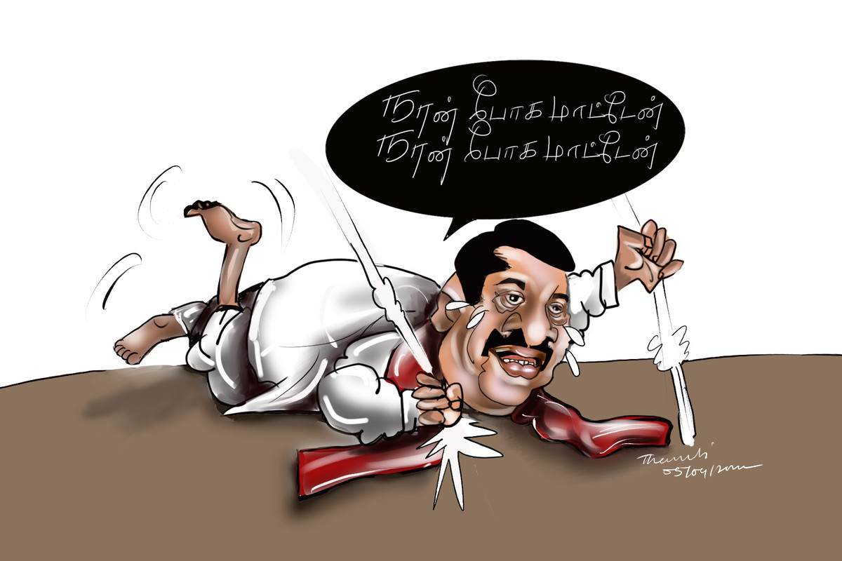 E0980-B88-5704-40-E1-A805-B46-B82-C391-B