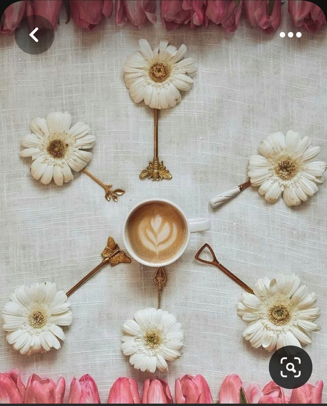 Screenshot_20230511_232508_Pinterest