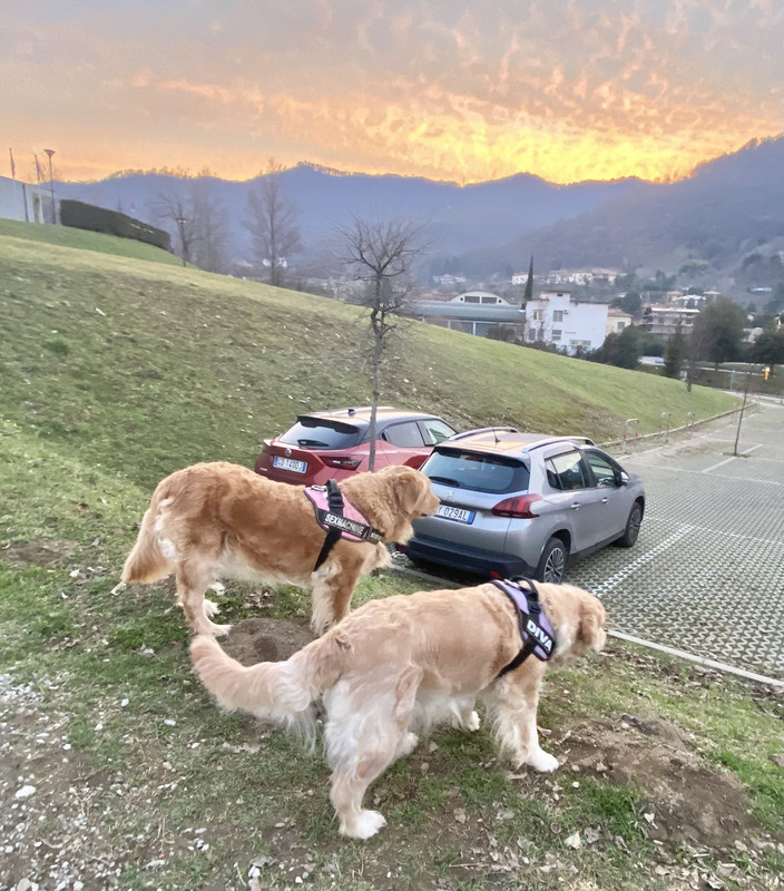 22638413-AEAC-4F45-8278-44CBFAA0373F