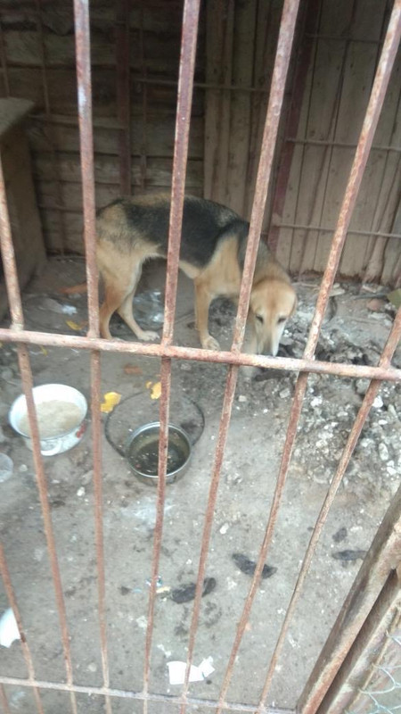 E2959B5E-6DF6-4DD3-9823-1FAA1736CAA0