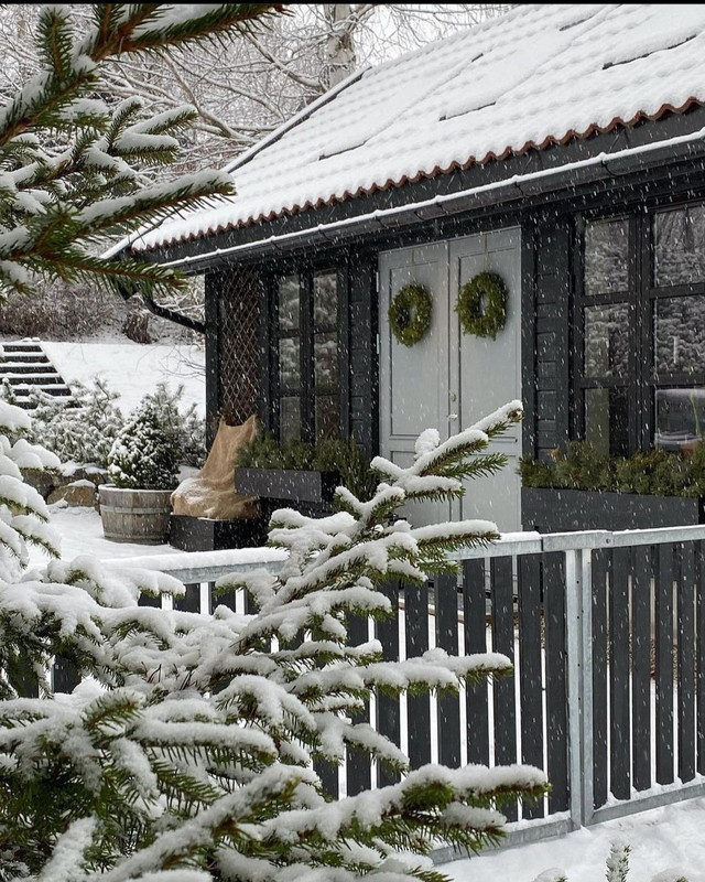 Screenshot_20231115_000704_Instagram