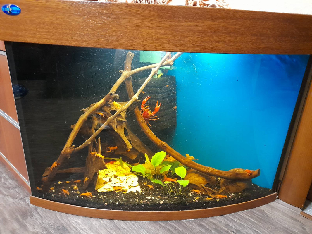 изображение_viber_2020-12-27_14-35-07