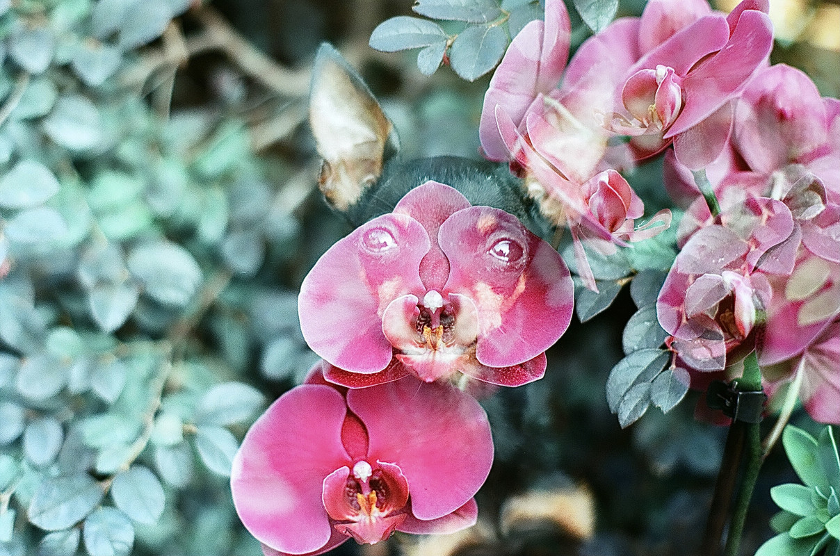 26AE5198-38EF-4E6A-A367-DE8C52943FC7