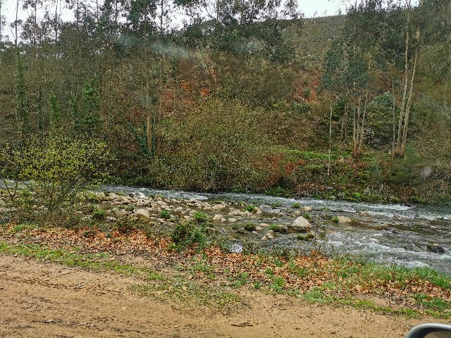 IMG-20200209-161027.jpg