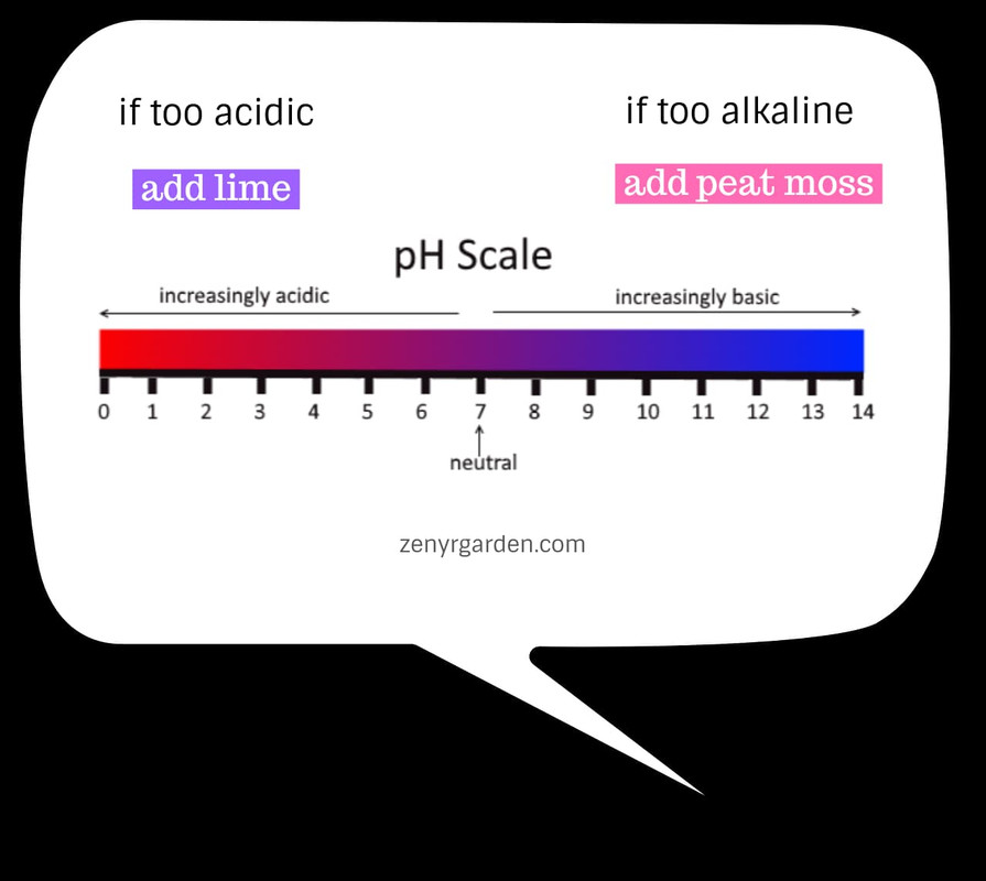 ph-adjustment-for-adenium-desert-rose