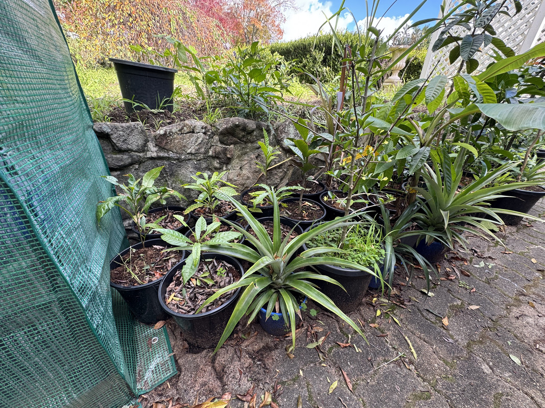 75634D19-6265-4ECF-83BF-B78C305BF159