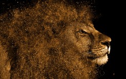 lion-art-4k-t1.jpg