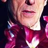icthpurplesdrwhoxiiflowersrecrop20