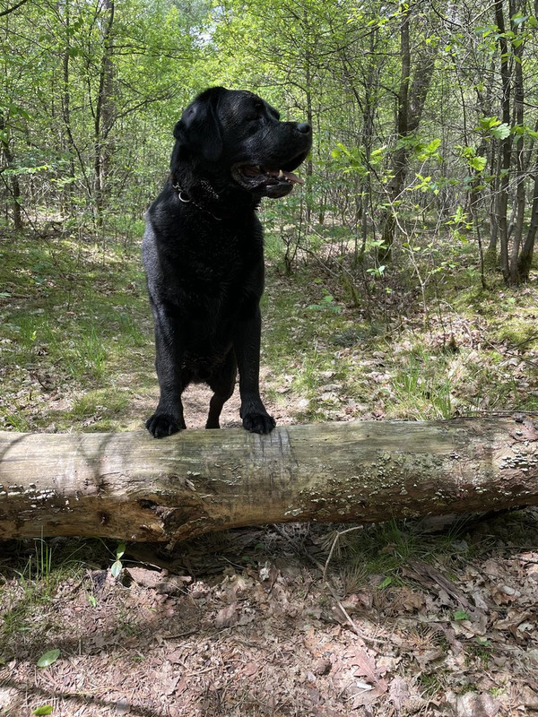 B445ED37-2F4A-4522-B586-DE47296B5980