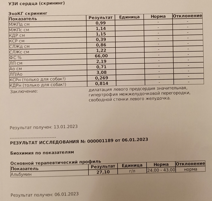 05.01.2023 УЗИ сердца