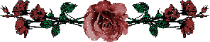 bottom rose