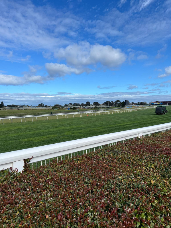 Photo 10-9-2025, 9 26 00 am (9) (1)