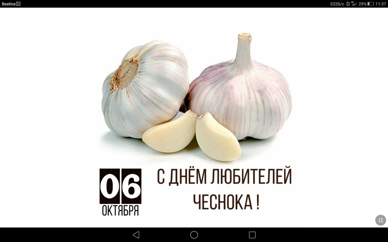 Screenshot_2023-10-06-11-37-20