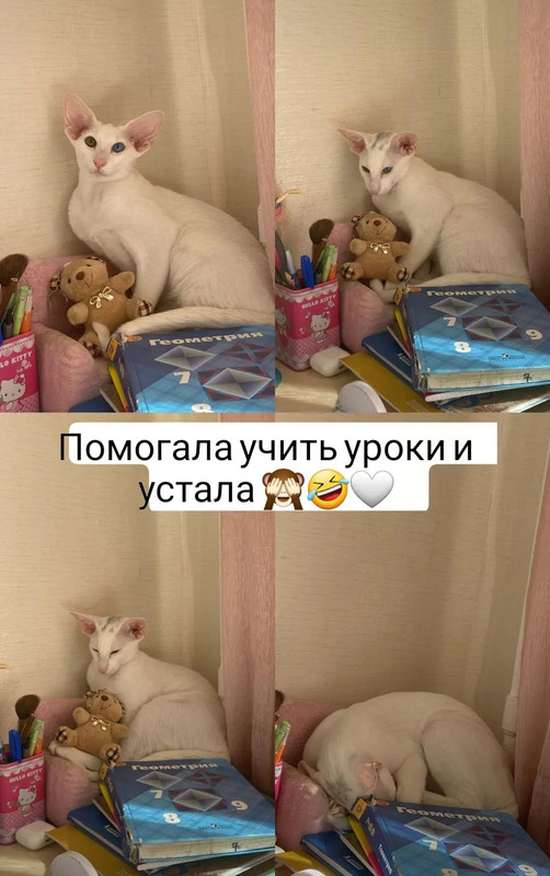 Screenshot_20220909_152911