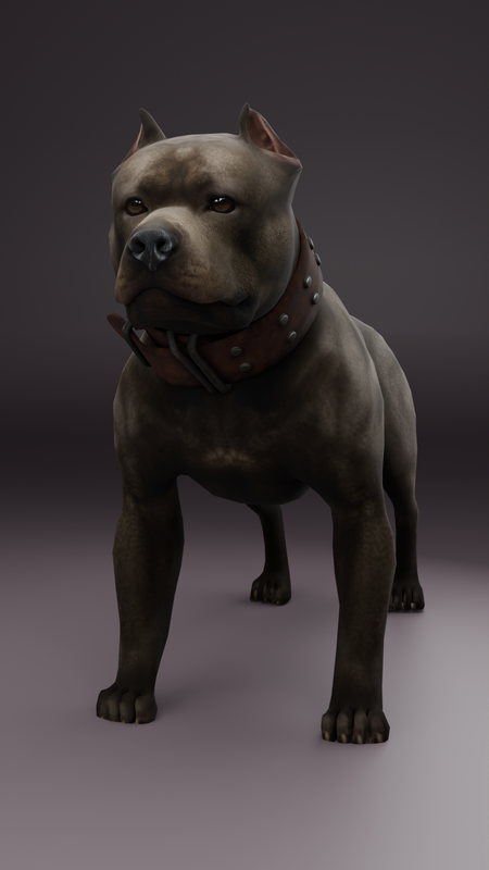 Pit Bull