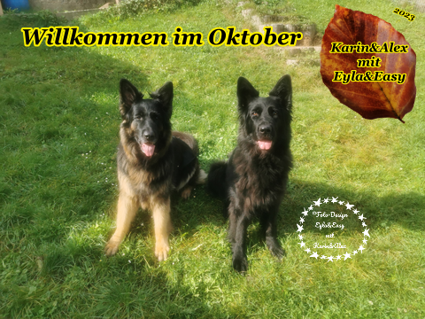 An den Beitrag angehängtes Bild: https://i.postimg.cc/wMDDt6Yv/Willkommen-im-Oktober-Watermarked.png