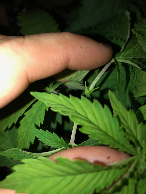 012F054F-76A7-462F-BE98-5726AEEA27F9