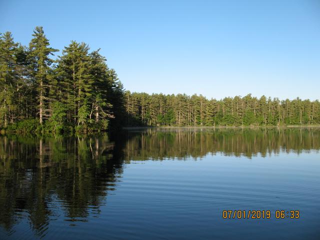 IMG-2180.jpg