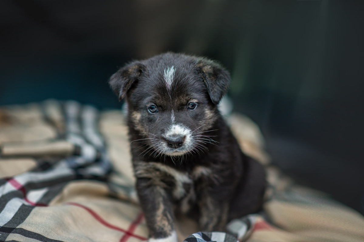 photo_2023-07-28_12-10-24